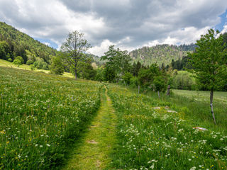 Geniesserpfad Menzenschwander Geissenpfad