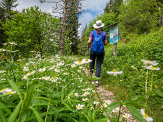 Gantrisch Panoramaweg