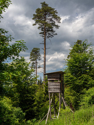 Geniesserpfad Schluchseer Jägersteig