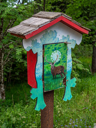 Geniesserpfad Schluchseer Jägersteig