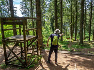 Geniesserpfad Schluchseer Jägersteig