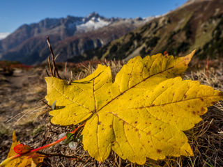 Herbstwanderung Schweiz Wandern Wege Herbst