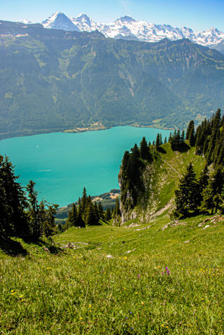 Brienzersee