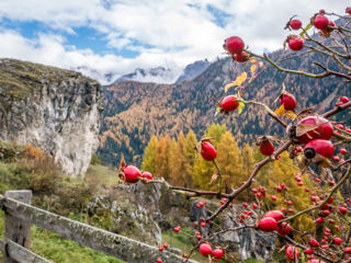 Die schönsten Herbstwanderungen Schweiz Herbstwandern