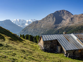 Alp Languard Pontresina