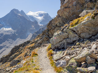 Sass Queder - Piz Cambrena