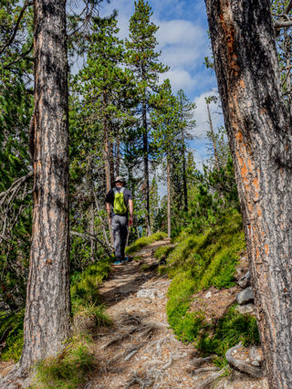 Schweizer Nationalpark