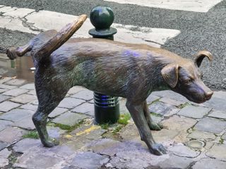 Brüssel Zinneke Pis