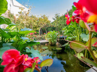 Palacio de Marques de Viana Cordoba
