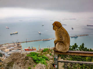 Ein Tag in Gibraltar