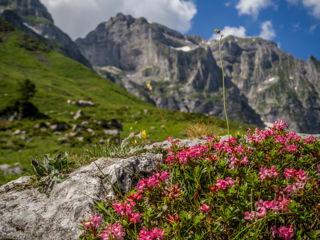 Schönste Wanderungen Zentralschweiz, Wandertipps, Wandern, Wege