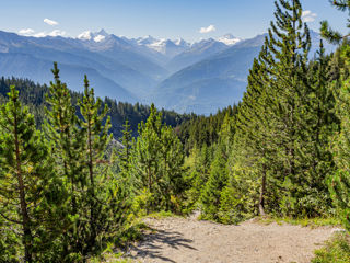 Bisse du Tsittoret