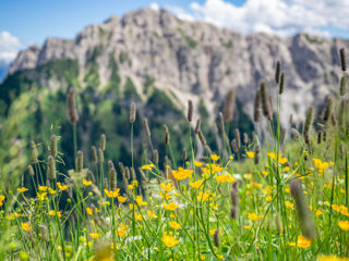 Wandern in Österreich