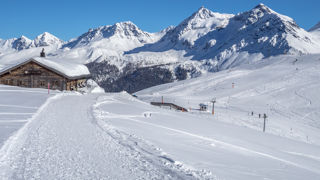 Winterwanderung Arosa Stellisee Arlenwald 