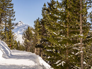 Winterwanderung Arosa Stellisee Arlenwald 