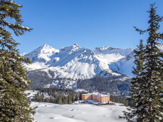 Winterwanderung Arosa Stellisee Arlenwald 