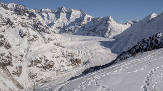 Riederalp Moosfluh Winterwanderung