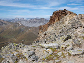 Rötelspitze schaut hervor