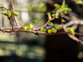 Wanderung Forch - Pfannenstiel - Meilen