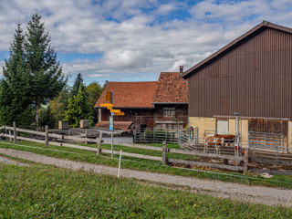 Hüttchopf Weg Tannen