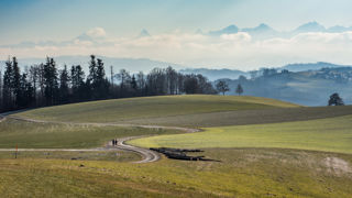 Wanderung Wabern - Gurten - Kehrsatz