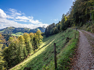 Hüttchopf Weg Zürcher Oberland