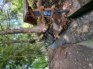 Bisse de Savièse Torrent-Neuf