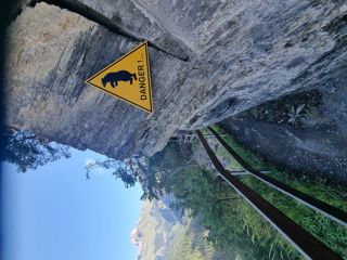 Bisse de Savièse Torrent-Neuf