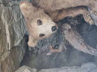 Bisse de Savièse Torrent-Neuf