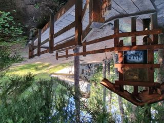 Bisse de Savièse Torrent-Neuf