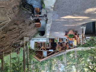 Bisse de Savièse Torrent-Neuf