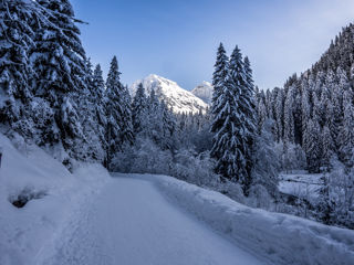 Winterwanderung von Klosters zur Alp Garfiun