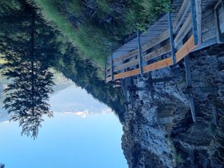 Wanderung entlang der Bisse de Torrent-Neuf / Bisse de Savièse