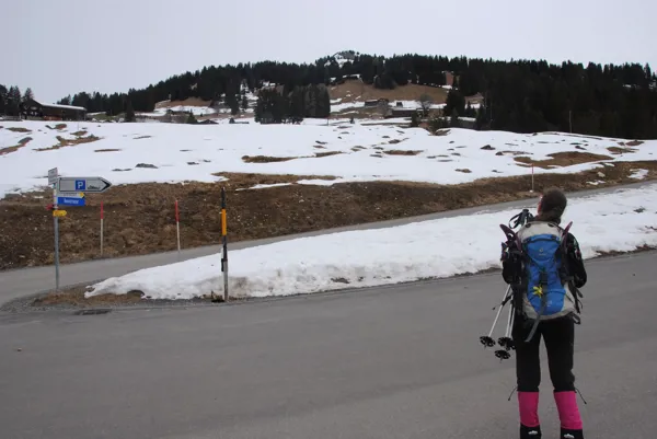 Gipfeltour auf den Alpbüel oder eine Schneeschuhtour ohne Schnee