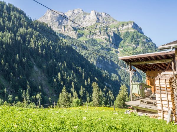 Walenpfad: auf dem Höhenweg von der Bannalp zur Brunnihütte