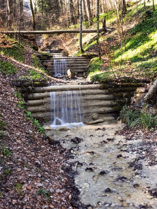 Uetliberg: Wandern auf dem Albisgrat
