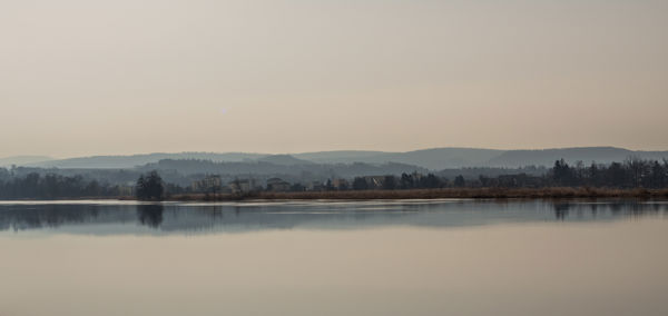 Der Klingnauer Stausee: Eldorado für Vogelliebhaber