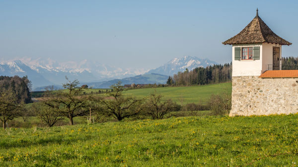 Das Albishorn