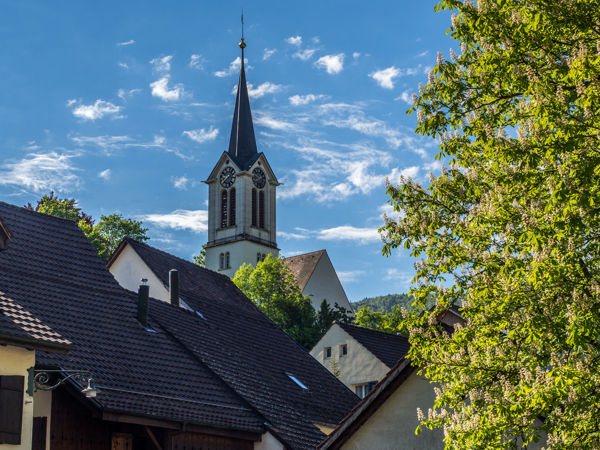 Wandern auf der Wasserfallen via Passwang und Vogelberg