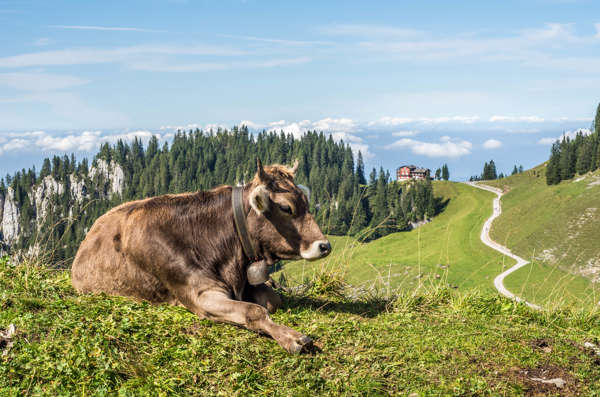 Wanderungen für den Sommer