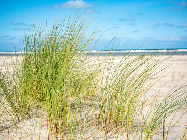 Wandern auf Norderney: zum Schiffswrack am Ostende