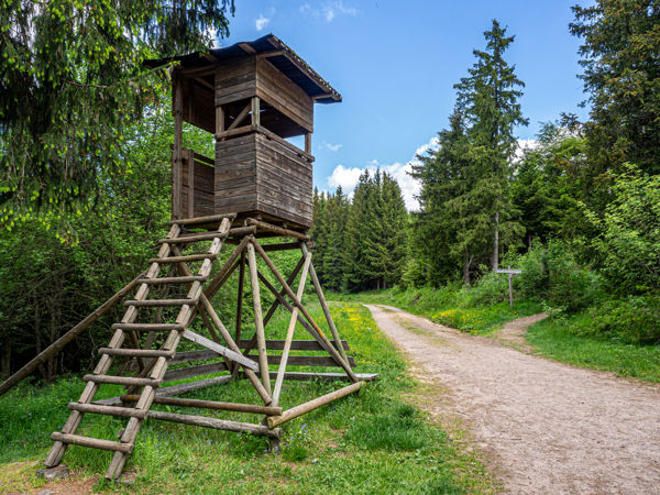Geniesserpfad Schluchseer Jägersteig