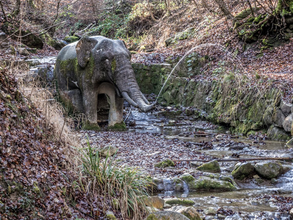 Wanderung Zürichberg - Lorenchopf-Turm -   Elefantenbach